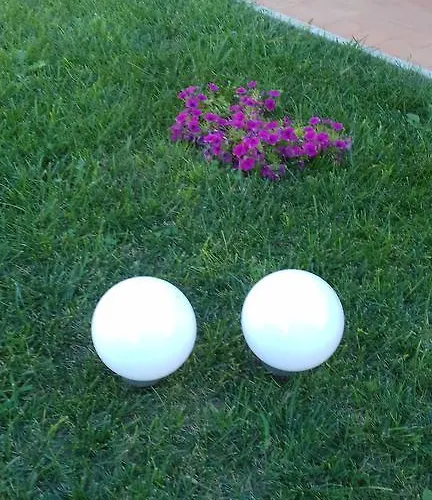 Affittacamere Gino's House Pisa