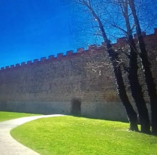 Gino's House Affittacamere Pisa